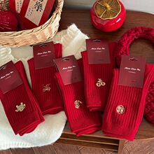 �ٴ�t�m2026�ﶬ��������Ů���R�ɐ۴̽��Y����H�����R�����m��