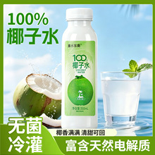 淮水东南整箱0添加0脂肪NFC100%椰子水350ml*12瓶聚餐夏季水饮品