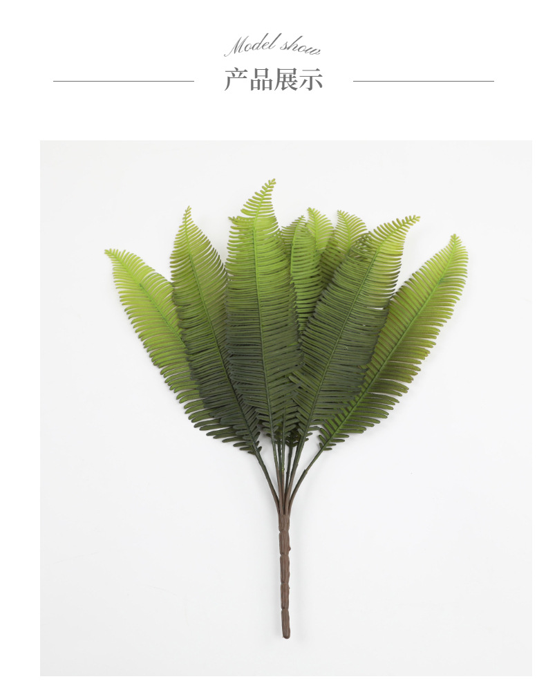 模特展示1 (3).jpg