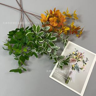 ����Gֲ���l3D����ľ�lؔ�~ɭϵ��Y�����쾰�b廨�̈����