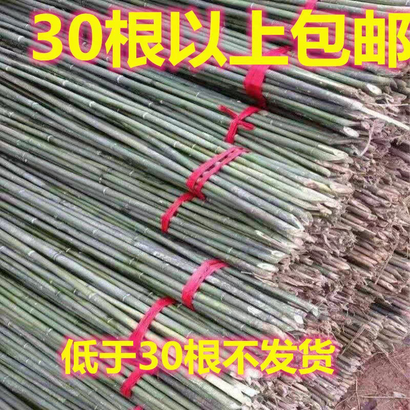 Bamboo poles of various specifications bamboo poles vegetable garden railing fence bamboo fence bamboo fence bamboo pole bamboo