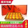 赣州赣南新鲜精品脐橙