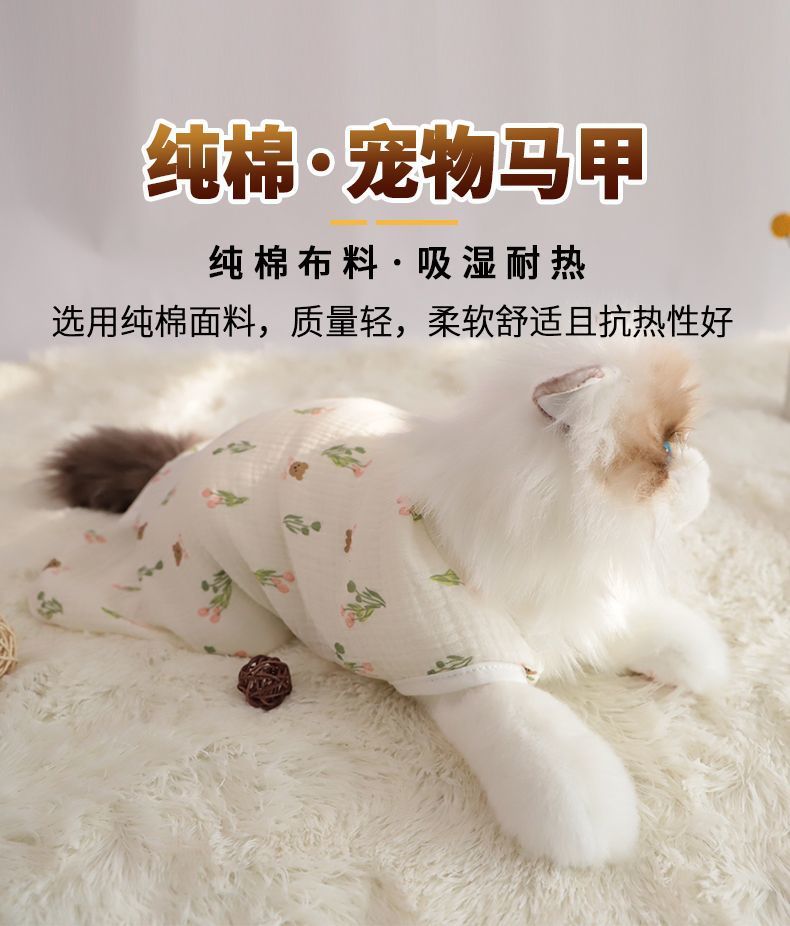 fbc11aec-a7d5-490b-be0f-ef28e2013048.jpe