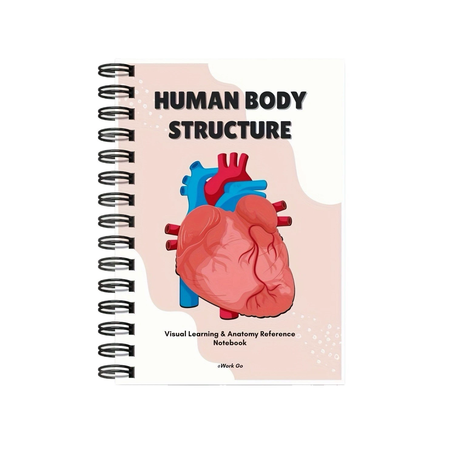 Physiological copybook for students, teaching skeleton, anatomy, human body structure, muscular organs