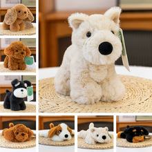 �Ȏ�����ϵ�����Ќ����湷��ë�q���С�����ߵع���������ż���l