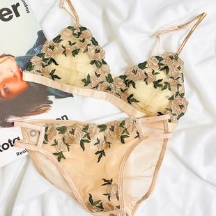 �������@/��ʽ�ٽz���Ǳ�����С�؟o�Ȧ�ļ�������Ů����������