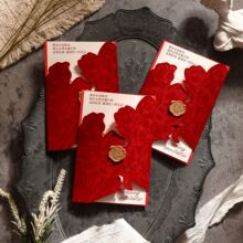 �Y��ϲ���z�q���Ƽt�ߙnՈ���p�ݻ�YՈ���߼�ӆ�����ϲ����Ո��