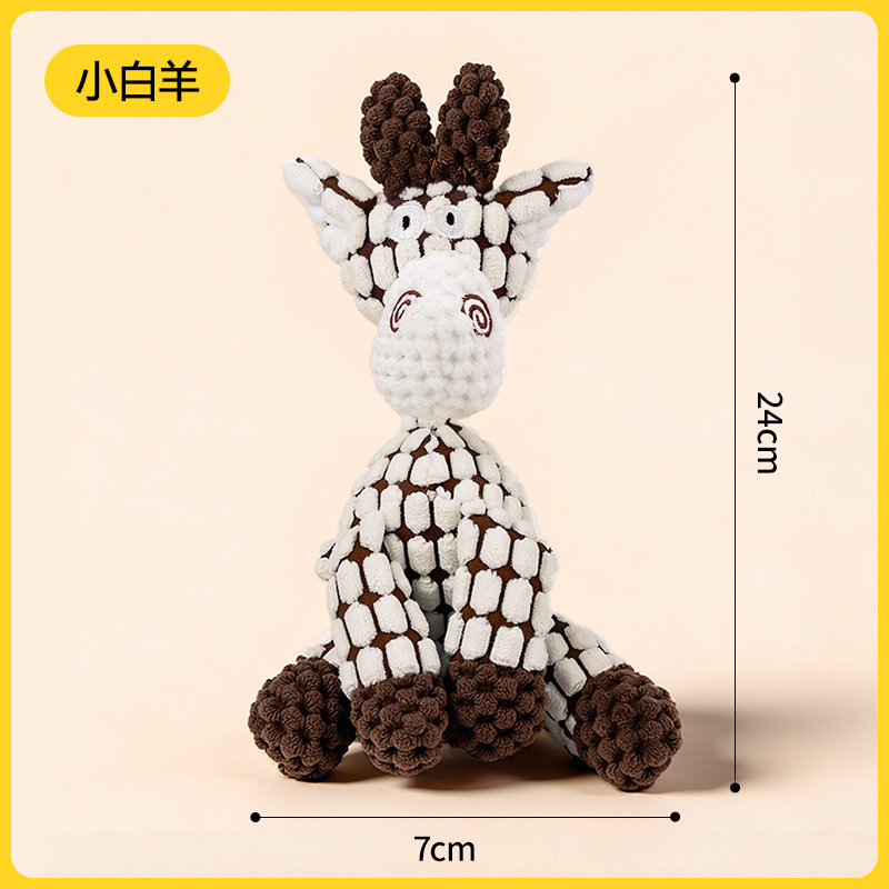 작은 양