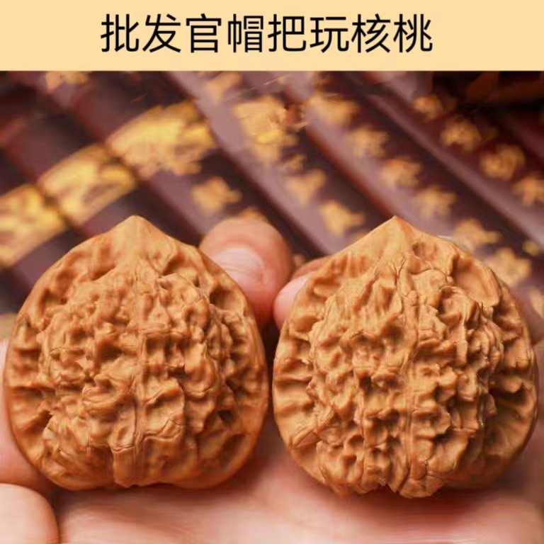 微信图片_20230505211608