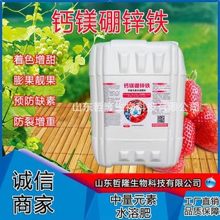 �Ǵ��}�V���\�F�~�������Ԫ��Һ�w�ʴٻ������G�~�����}�V���\�F