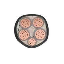 ZC-YJV4*185+1*95ȼͻϩ^ϩo|