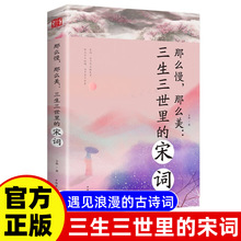 那么慢那么美三生三世里的宋词正版书籍文学名著经典作品鉴赏读物