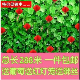 ���������~�ٻ��ٗlֲ����~�G�~ˮ�ܵ�����b����ϾG�}���