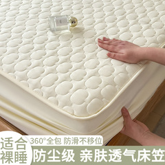 夹棉床笠2025年新款四季通用夹棉床罩单件床垫保护套隔脏全包床单