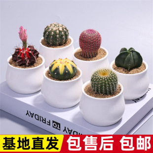 ��Ʒ�������҃�С����������ֲ���f��ɽ�k��������Gֲ���B��