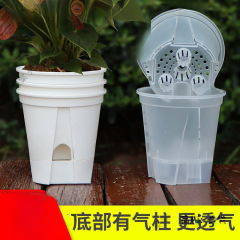 新款储水透明青山盆自吸水懒人盆控根盆朱顶红蝴蝶兰塑料花盆批发