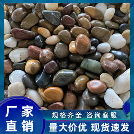 雨花石厂家天然彩色光面鹅卵石精品石材花园庭园铺路批发