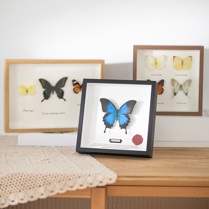 Photo Frame Hollow Wholesale Butterfly Stereo Wooden Photo Frame Creative Diya4 Dried Flower Picture Frame Plant Animal Specimen Table Photo Frame Hollow Wholesale Butterfly Stereo Wooden Photo Frame Creative Diya4 Dried Flower Picture Frame Plant Animal Specimen Table