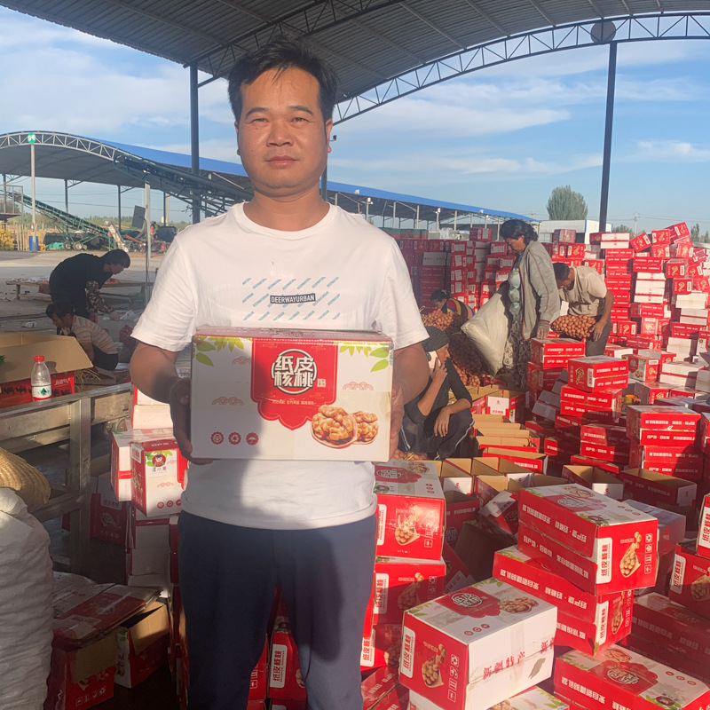 185 paper-shell walnuts, 5 jin per box, loose packing. Direct shipment from Aksu, Xinjiang. Crispy and delicious, available for live-streaming sales directly from the origin.