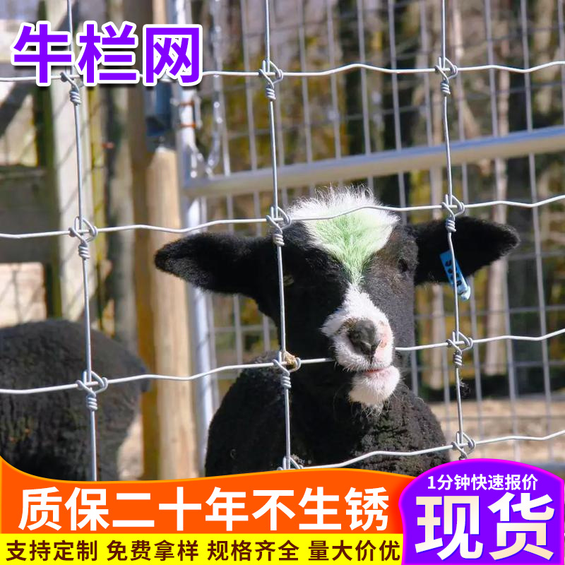 防锈防护兔鹅山地网养殖网牛栏网镀锌隔离栏农牧养殖铁丝网围栏网