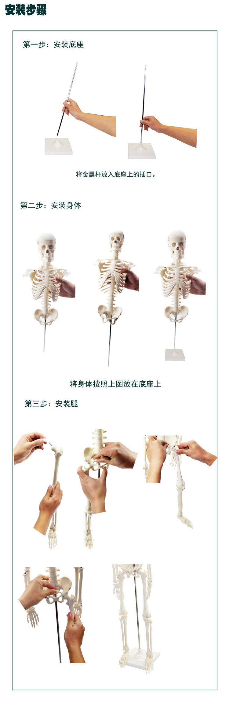 O1CN013KwSL32Kk6XdJ7AbE_!!3578