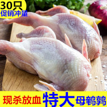 30ֻrwgrѪȥKrكgt~ը