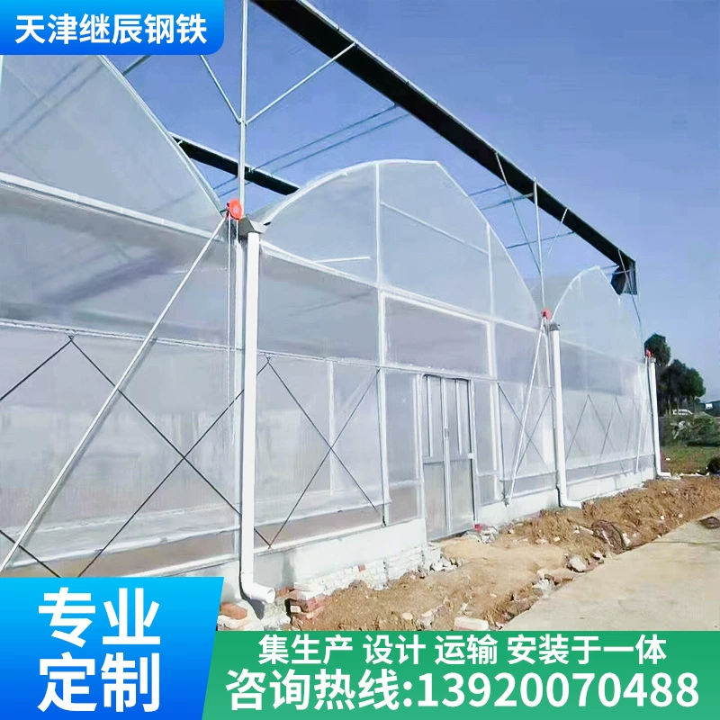 Теплица l-соединенная теплица, соединенная теплица, фруктовые деревья, цветочная и овощная теплица