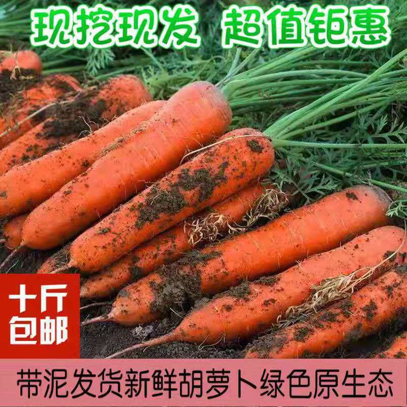 10 Jin[Xianwaxianfa]fresh Carrot Fresh vegetables Farm fruit radish Vegetables wholesale