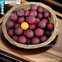 ���S���l����ˮ����ģ���b��߼ٗ�÷�[�Oˮ����Ʒ����չʾ�zӰ