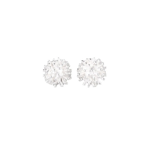 925 Silver Dandelion Earrings for Women, Elegant and Sweet, Fresh and Cute, Creative and Korean Personality Ear Accessories Set of 5