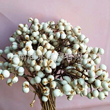 С�׹��ɻ�������С����ľ�ӹ��ҾӲ廨�ɿ���İ׹�ľ���b�
