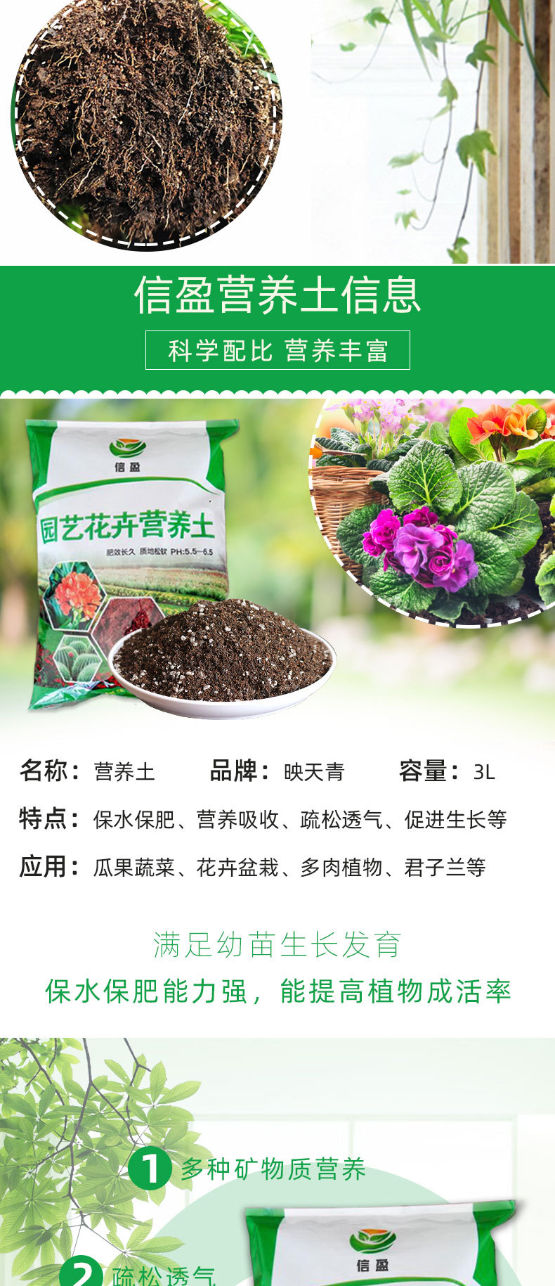 O1CN01PETti81Ti7DbXNHGr_!!2200740822415-0-cib.jpg?__r__=1709967674894