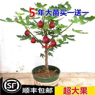 ����Y�����Լt�̨�������ϱ����Nֲ���ļ����o��������ˮ����