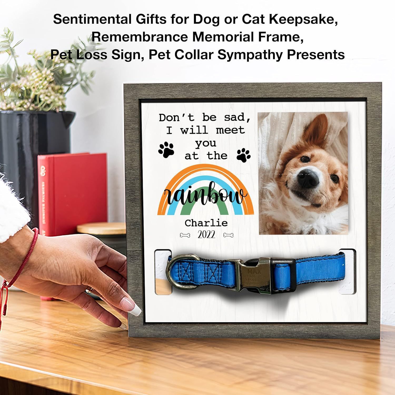 El marco conmemorativo de madera para mascotas puede contener collar Mesa Arco Iris marco de fotos para mascotas regalo perdido para mascotas de madera