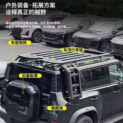 Side Ladder Side Bag, Roof rack
