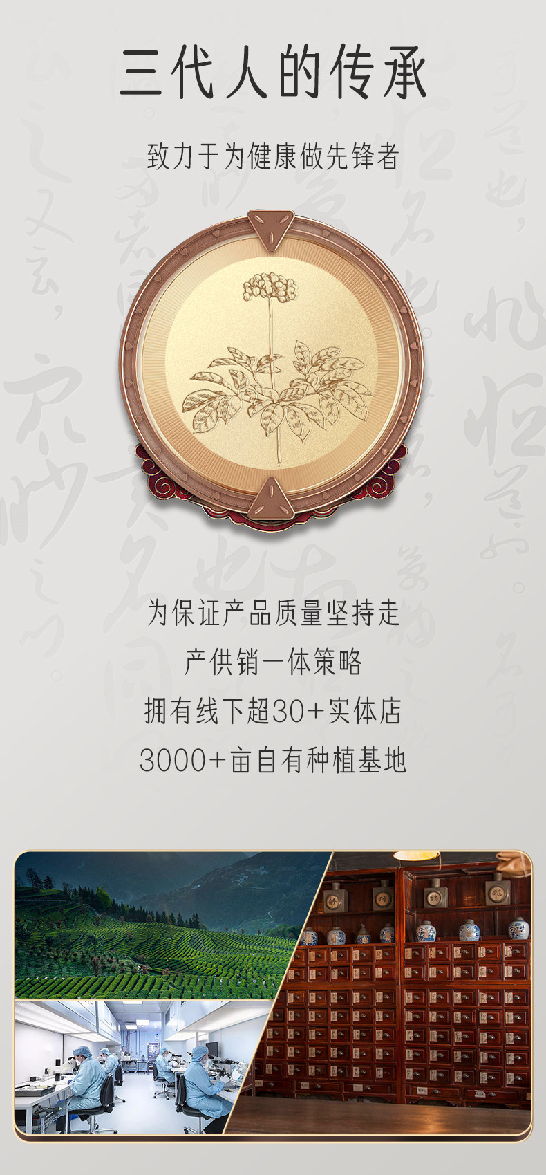 Tie Pi Shi Hu Dendrobium Gift Box Premium Huoshan Dried Tie Pi Shi Hu for Parents Wellness Gift specifications