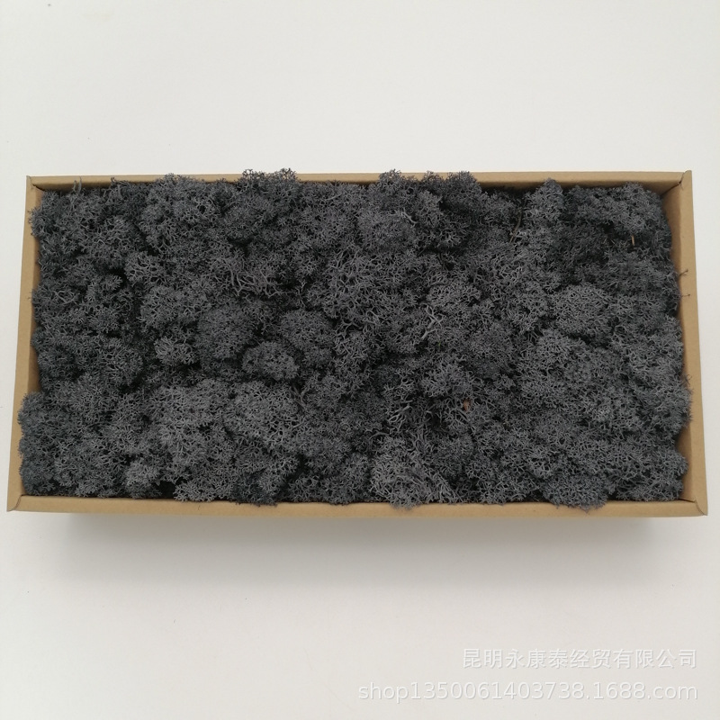 Musgo al por mayor de musgo peso neto 200g caja de regalo flores de musgo eternas accesorios para el hogar tiro ventas directas de la fábrica