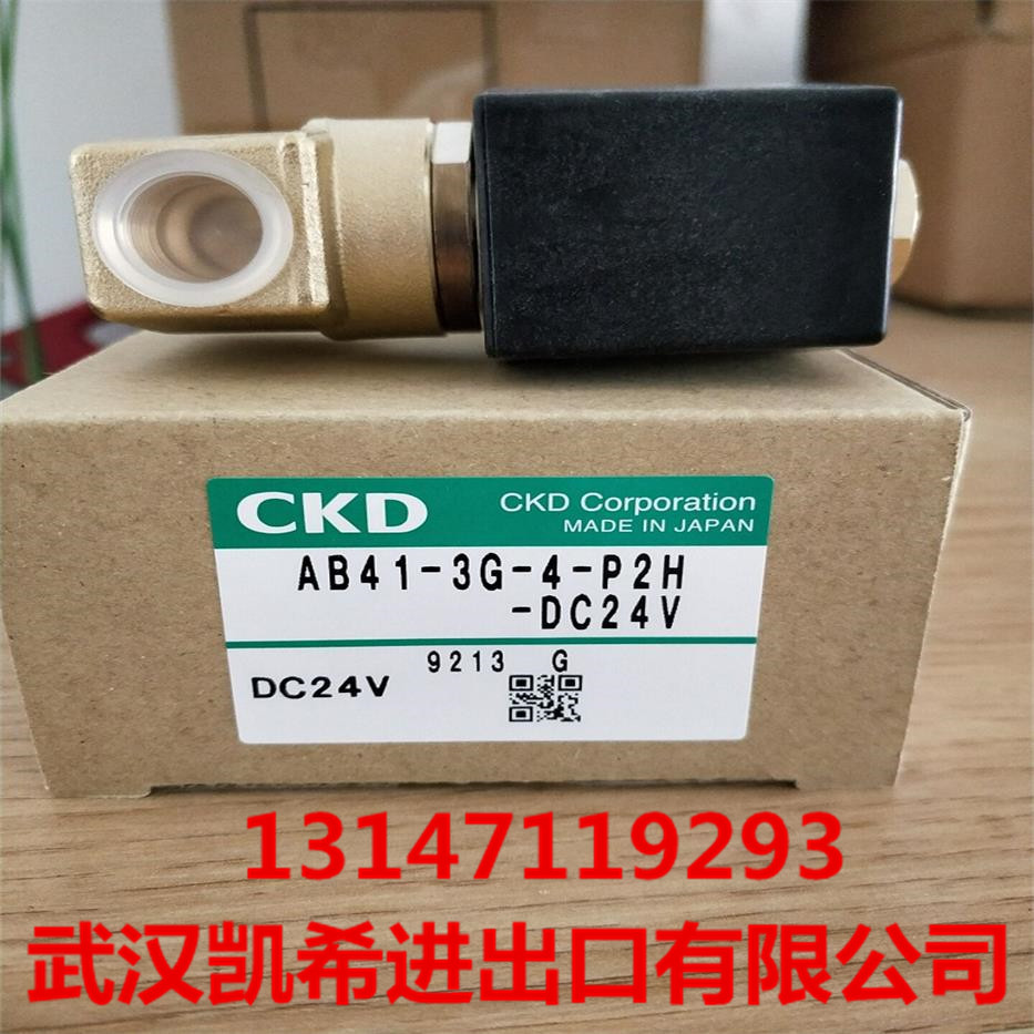 CKD电磁阀AB41-3G-4-P2H-DC24V AB41-02-6-AC220V AB31-02-3-F3A