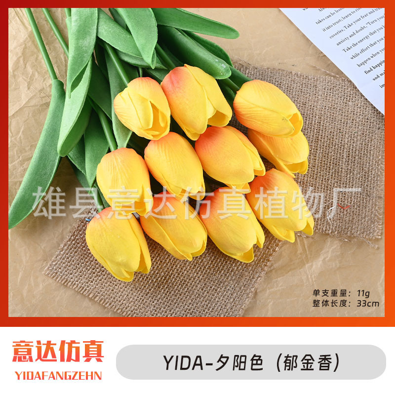 일몰 색상