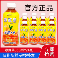 冰红茶360ml饮料风味饮品整箱批发网红夏日囤货聚餐热卖爆款饮品