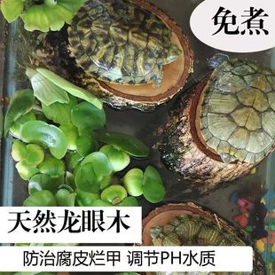 ������̨��̨��ˮλ��Ȼ����ľ�����׸�Ƥ�쾰�[����ľ�{��ˮ�|