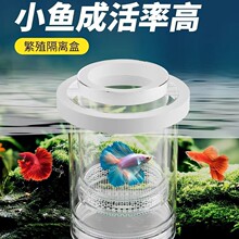 孵化盒孔雀鱼鱼缸繁殖隔离盒小型鱼卵鱼苗斑马鱼斗鱼缸内水族用品