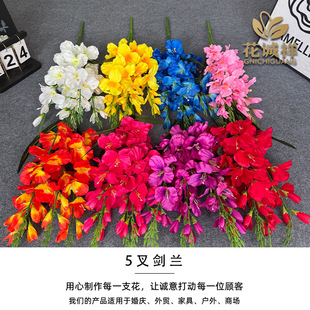 ����5��������m���滨������c���Q���[�����õ����bҾ����l