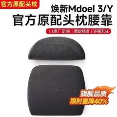 テスラに適用します。