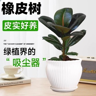 �ڽ�����Ƥ�������·��҃��̨����ȩ�Gֲ���z��͏d�����՚�ֲ��