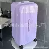 Violet [1027 bright noodles]
