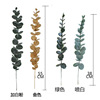Amazon sells 38cm single -supported Ugli fake green plant simulation plant wedding with gold money leaf