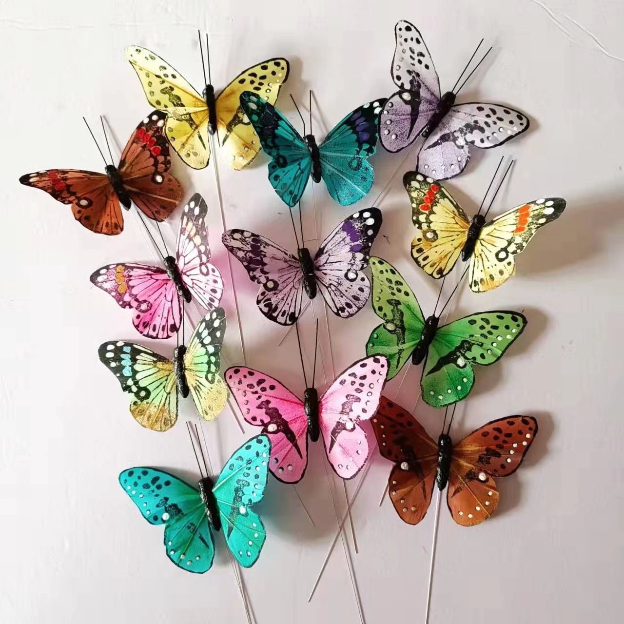 892655e8ebc3897e3ed40573e716ed