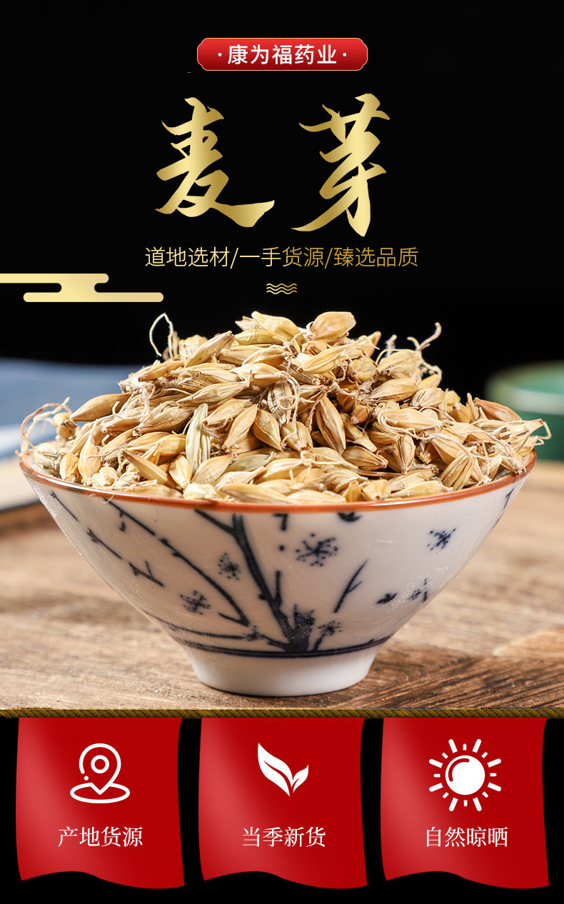 Malt (Hordeum vulgare) — Dried Food-Herb Grain for Tea, Soup & Congee overview