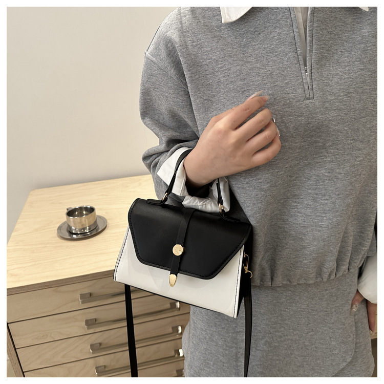 Women's Small Pu Leather Color Block Classic Style Square Magnetic Buckle Crossbody bag BAX display picture 26